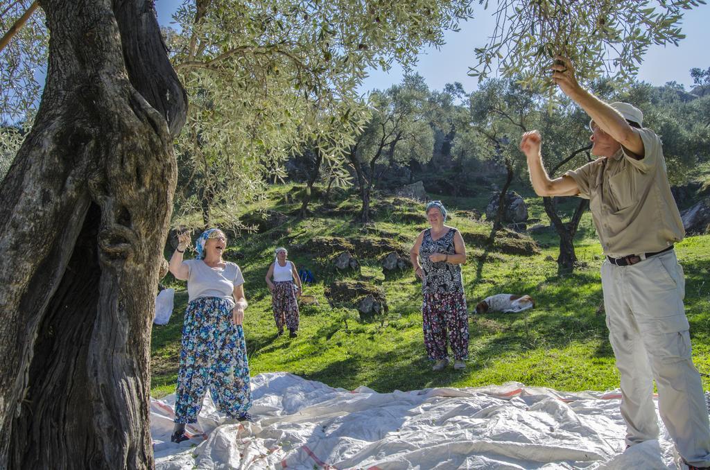 Agora Kapikiri