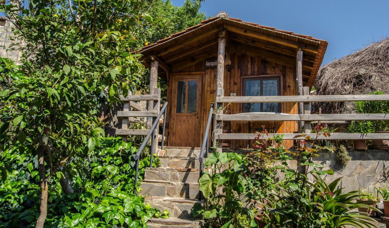 Agora Gazde/Camere de închiriat